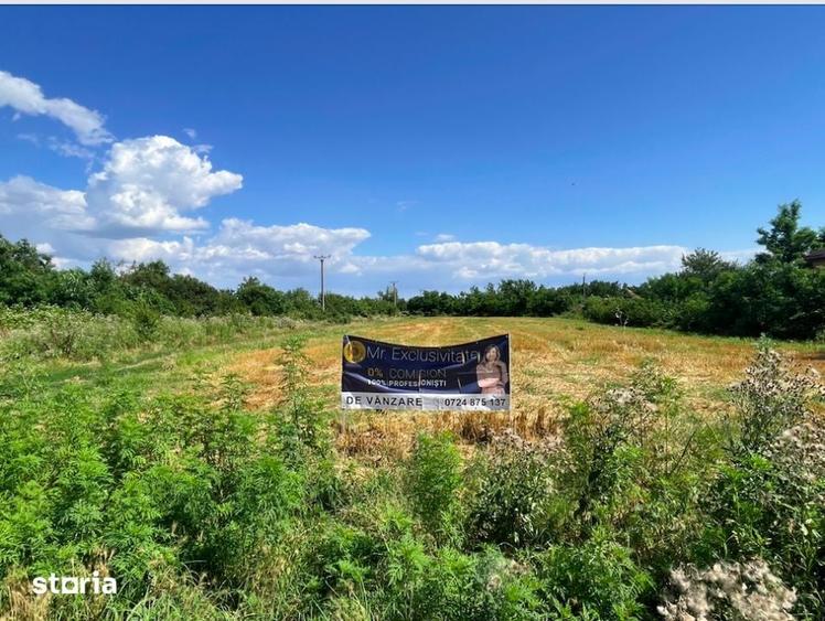 Teren de 7500 mp, în Săbăreni