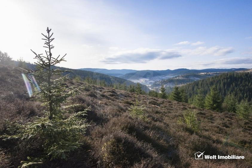 Teren intravilan de 56829 mp, în Beliș