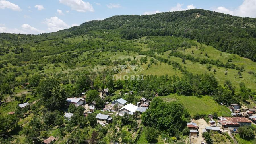 Teren agricol extravilan de 161899 mp, în Șoimari