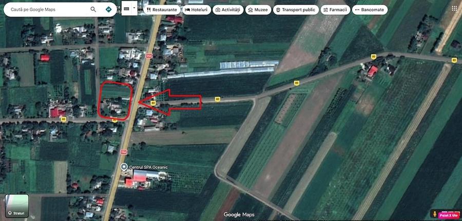 Casă cu Teren 3976 Mp în Dumbrăvița