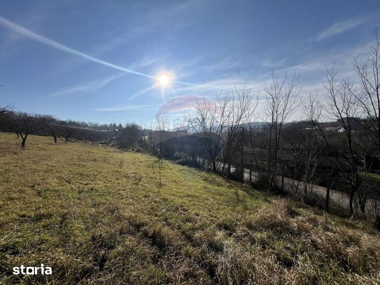 Teren de 10000 mp, în Moldovenești