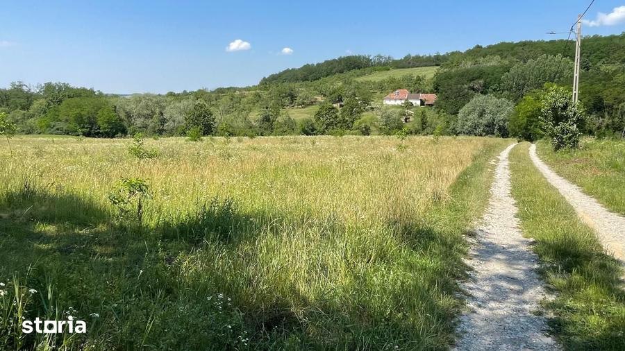 Teren de 10000 mp, în Ceica