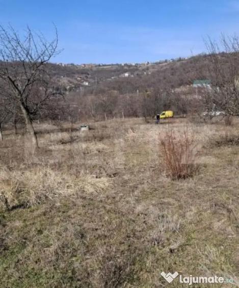 Teren de 860 mp, în Podgoria