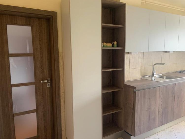 Apartament 2 camere -zona USAMV si Platinia - 3