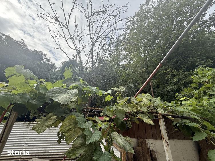 Casă cu 4 camere cu Teren 200 Mp în Kogălniceanu