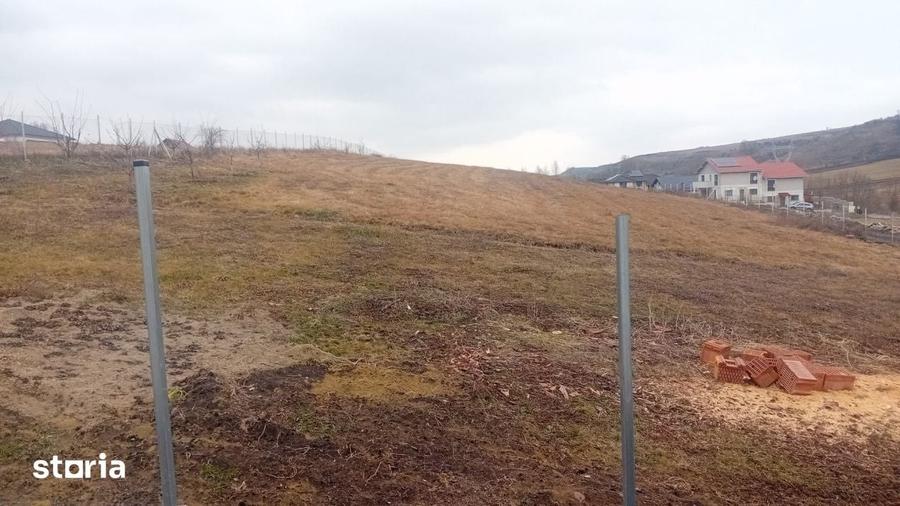 Teren de 700 mp, în Baciu