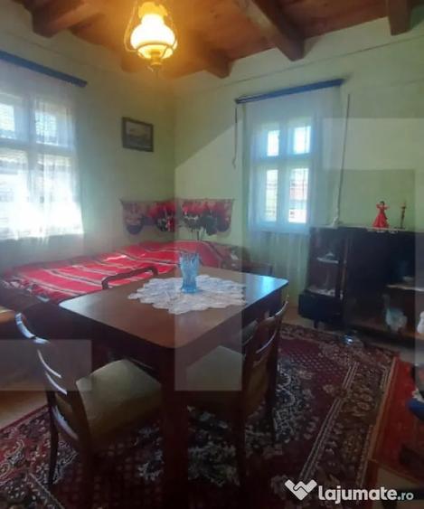 Casa autentica 3.100 mp teren, livada si parau I Lisnau - 9