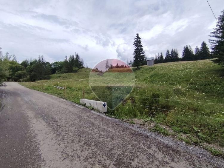 Teren Construcții intravilan de 33364 mp, în Dorna Candrenilor