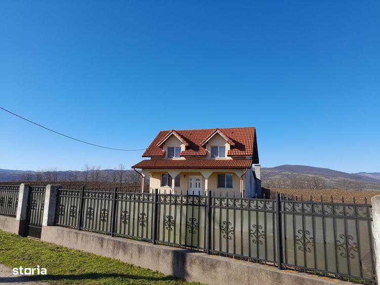 Casa-Aurel Vlaicu - 1