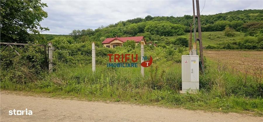 Teren Ideal pentru Construirea Casei de Vis, 1400 mp cu Vedere spre Pa - 1