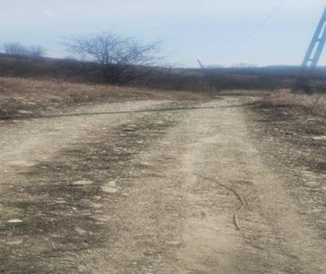 Teren de 5000 mp, în Brăești