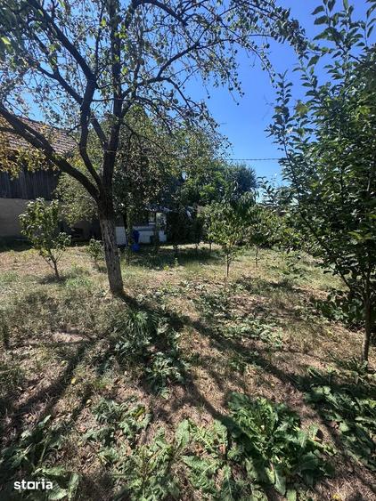 Casă cu 2 camere cu Teren 700 Mp în Central