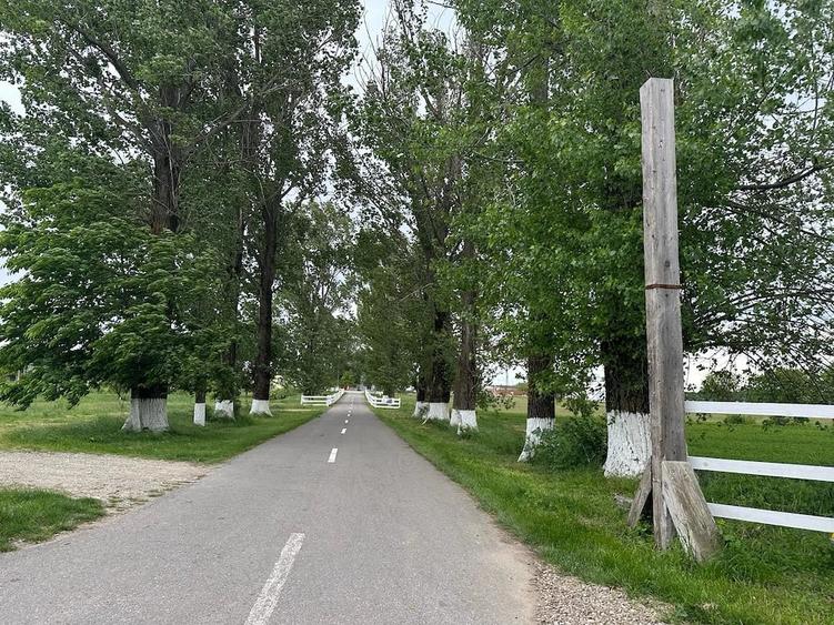 Teren de 11300 mp, în Balta Doamnei