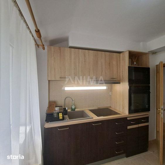 Apartament cu 2 camere, mobilat în Zorilor