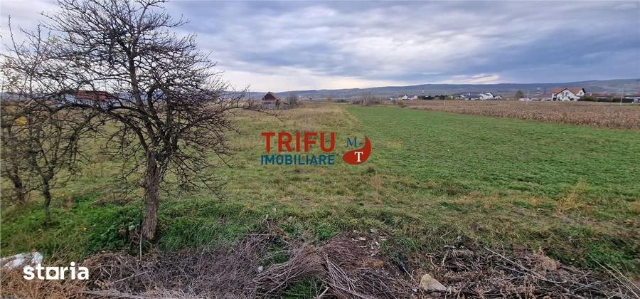Teren de 2160 mp, în Partoș