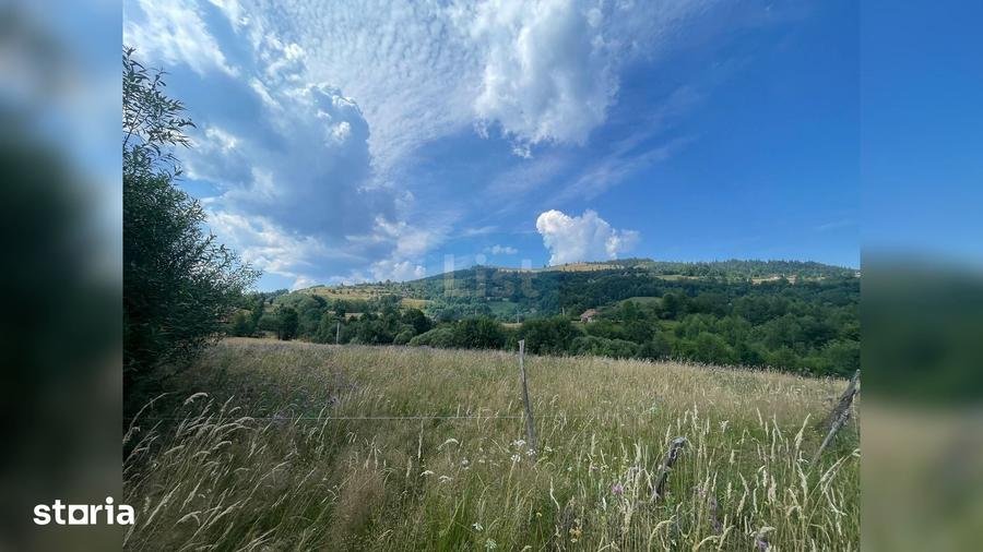 Teren EXTRAVILAN TURISTIC 8.355 mp, Vladeasa, Vi?agu, jud. Cluj. - 2