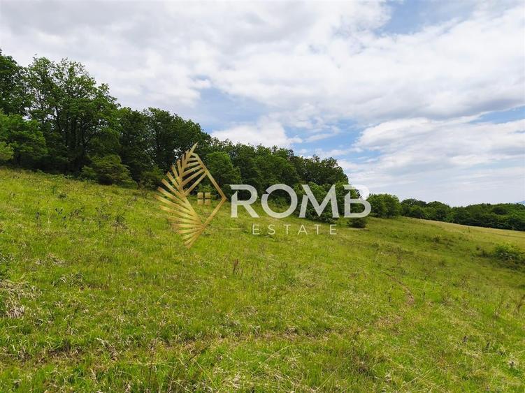 Teren Construcții extravilan de 2900 mp, în Florești