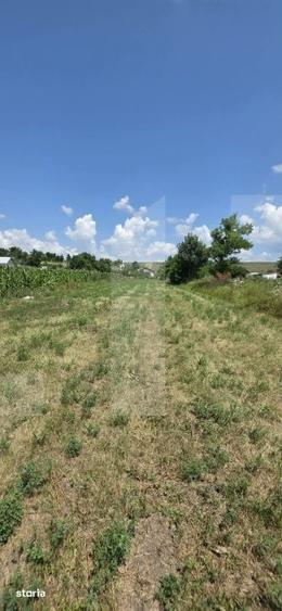 Teren de 1477 mp, în Bălușeni