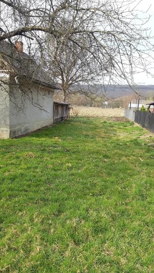 Teren de 3000 mp, în Dumbrăvița