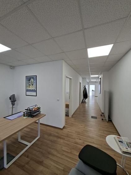Birou, de 160.19000244141 mp, în Elisabetin