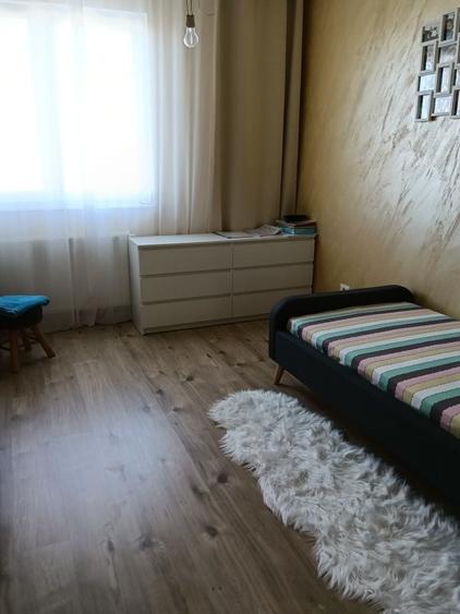 Apartament cu 3 camere decomandat în Olteni