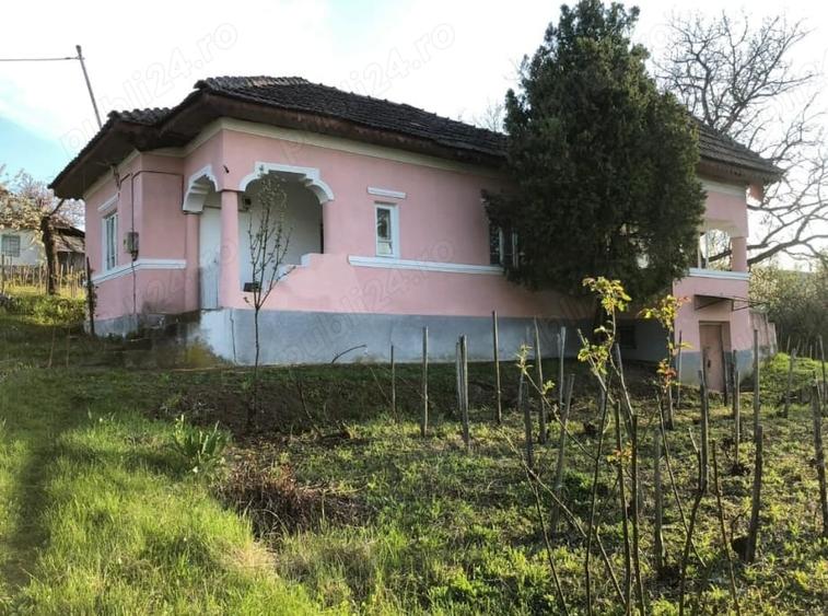 Casă cu 2 camere cu Teren 5000 Mp în Gura Motrului