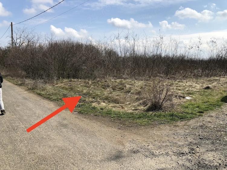 Teren de 1000 mp, în Valter Mărăcineanu