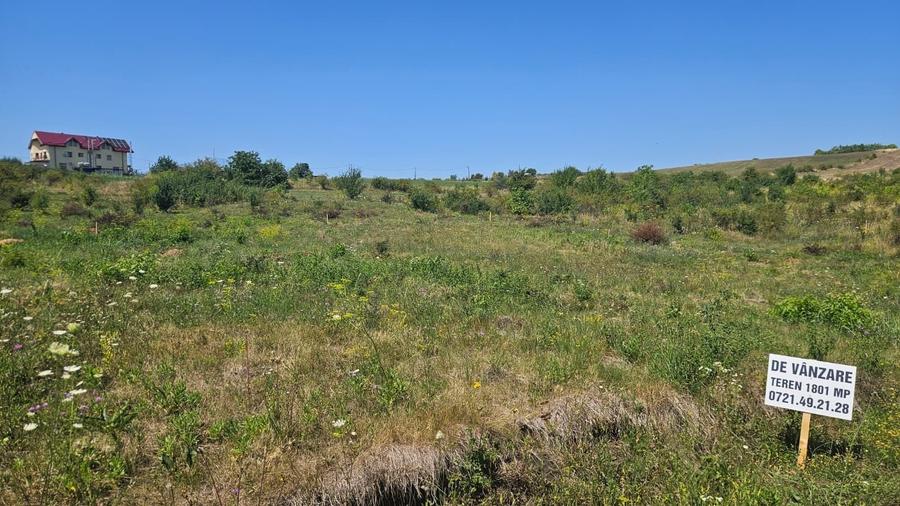Teren Construcții intravilan de 1801 mp, în Borhanci