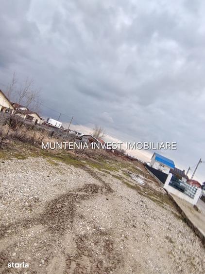 Teren de 7000 mp, în Bradu