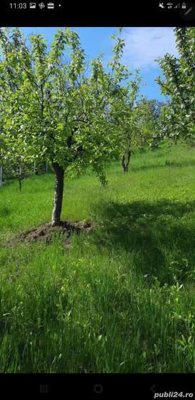 Casă cu 3 camere cu Teren 5000 Mp în Mozăceni