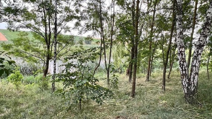 Casă cu Teren 5000 Mp în Central