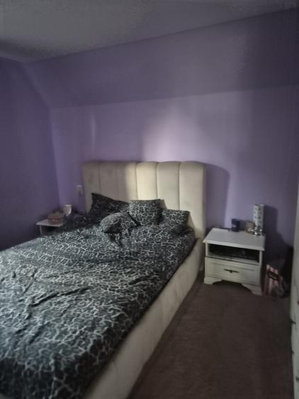 Casă cu 4 camere în Lunca Cetățuii