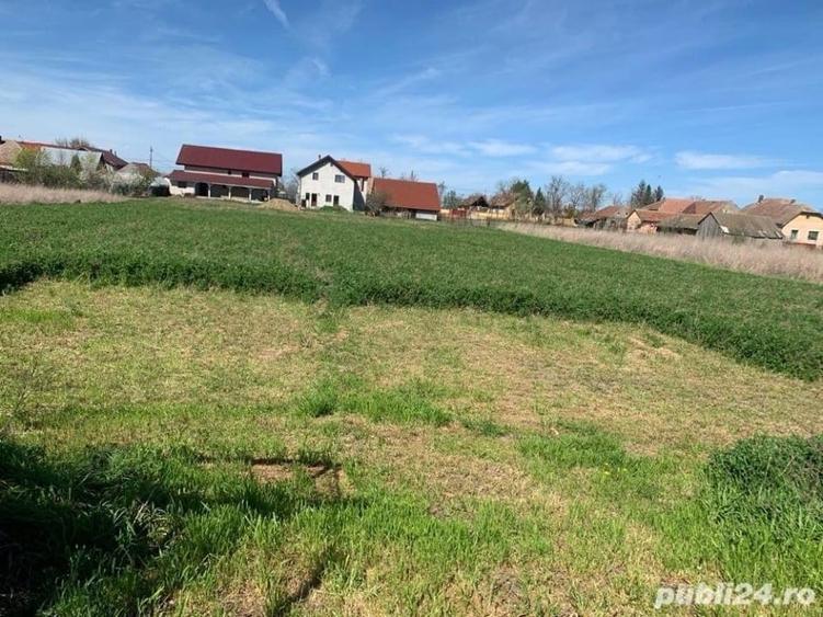 Casă individuală cu 3 camere cu Teren 3500 Mp în Cenei