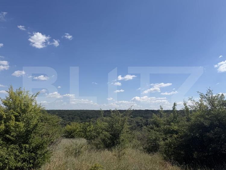 Teren 6291 mp, extravilan, zona Leamna de jos - 3