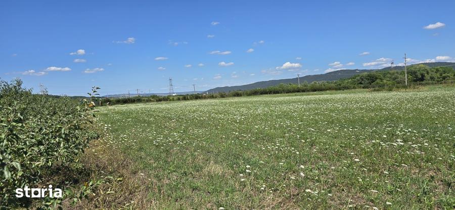 Teren in zona Rascruci ideal pentru hala, toate utilita?ile - 4