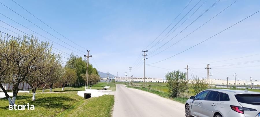 Teren de 8000 mp, în Bartolomeu