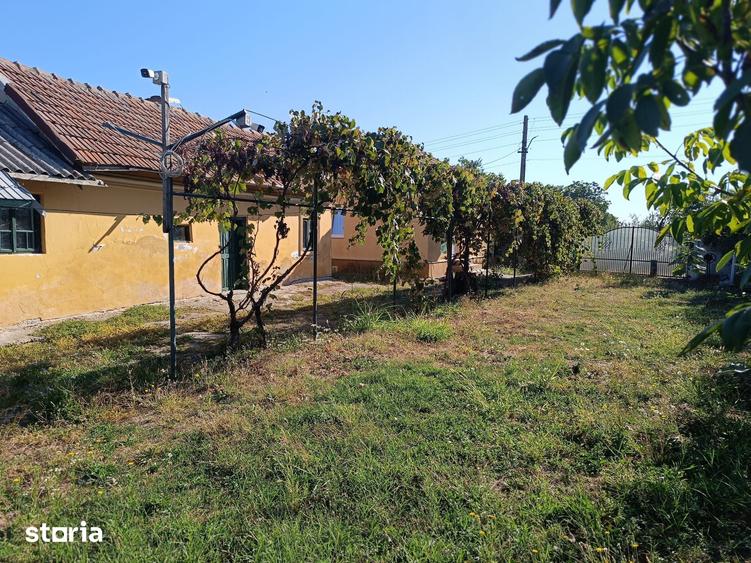Casă cu 3 camere cu Teren 1100 Mp în Pielești