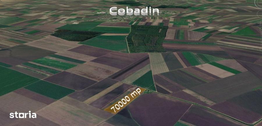 Teren extravilan arabil -70.000 mp- Cobadin, Constan?a - 2
