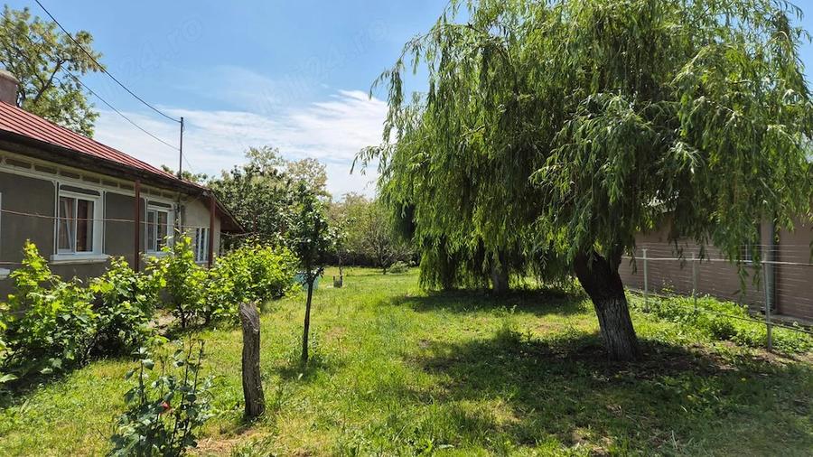 Casa si teren 1005 mp de vanzare in Platonesti strada principala - 6