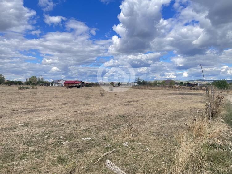Teren agricol extravilan de 2900 mp, în Șelimbăr