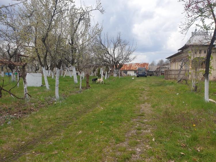 Casă cu 4 camere în Dănicei