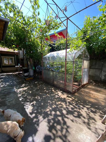Casă cu 3 camere în Apollo