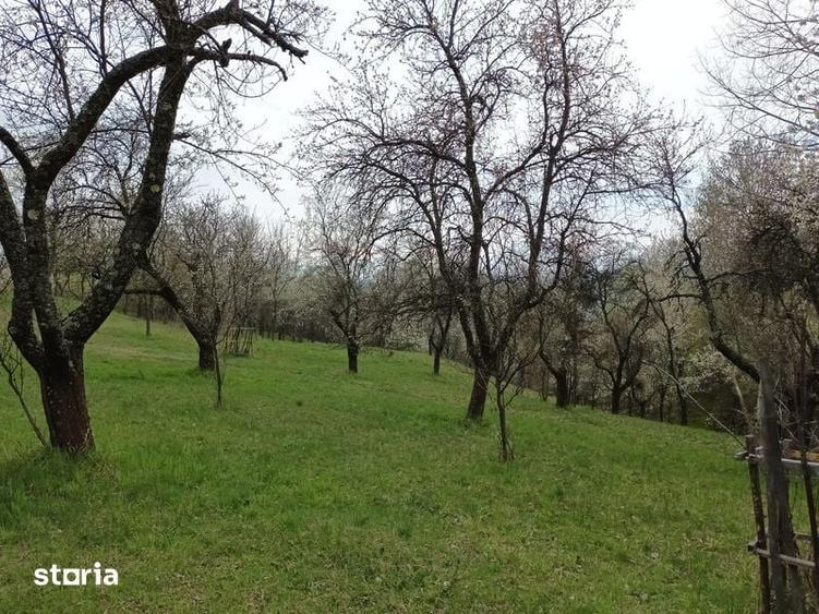 Teren de 10600 mp, în Dăești