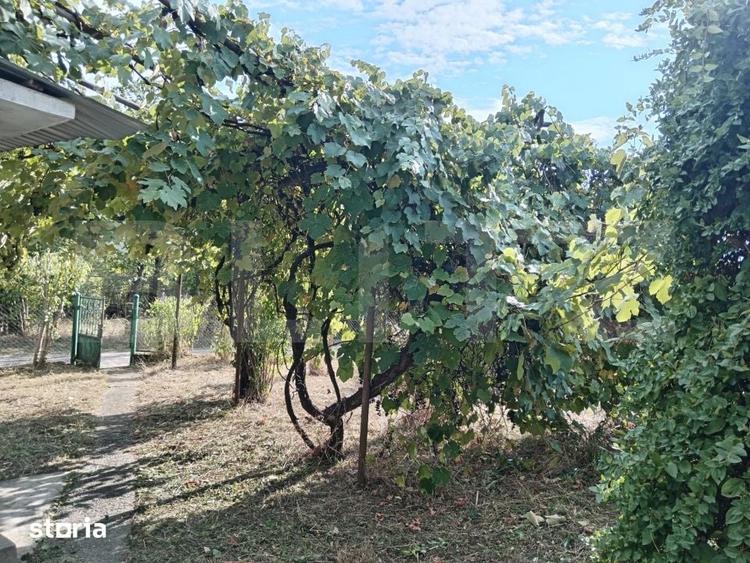 Casă cu 3 camere cu Teren 1439 Mp în Central