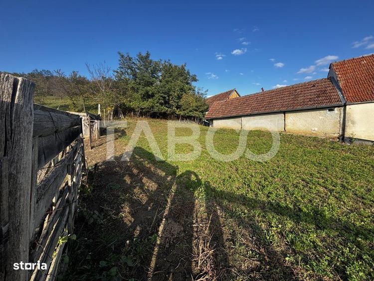 Exclusivitate comision 0% casa cu sura si anexe teren 3700 mp Alamor - 5