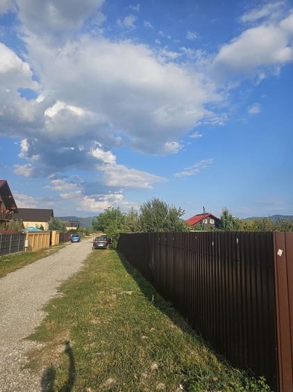 Teren de vanzare carpinis 700mq - 2
