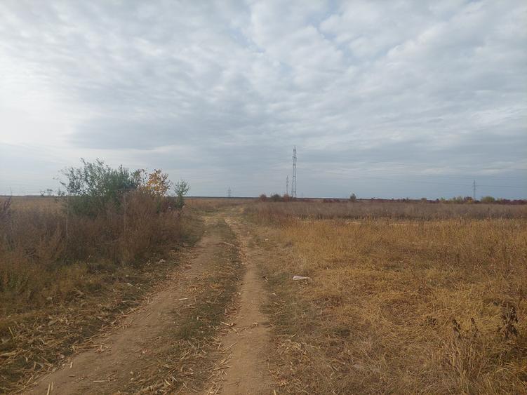 Teren Construcții intravilan de 9844 mp, în Dumbrava