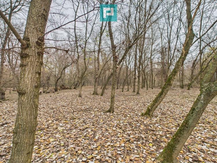 Teren extravilan de 5000 mp, în Periam