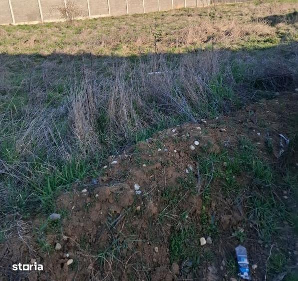 Teren de 700 mp, în Sânandrei
