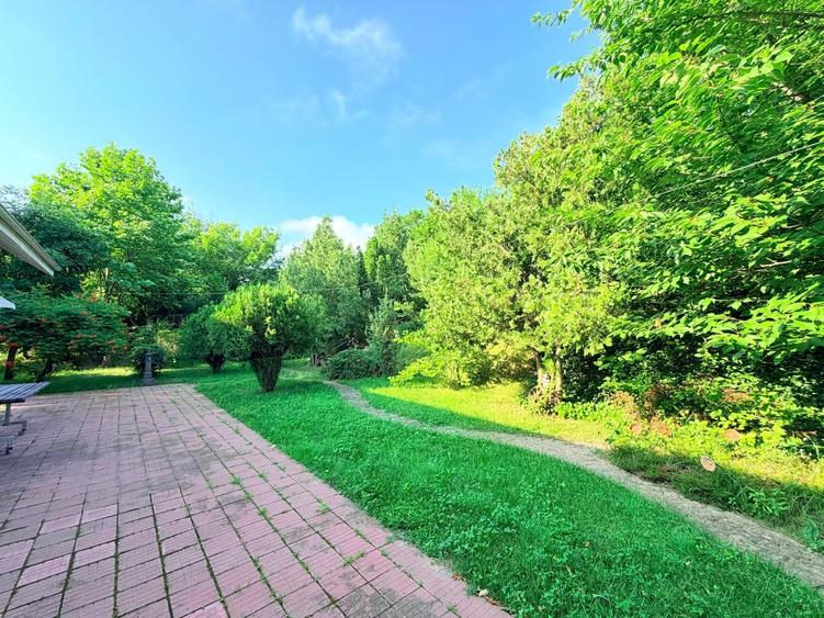 Casă individuală cu 4 camere cu Teren 1140 Mp în Bucium